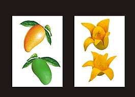 零散芒果