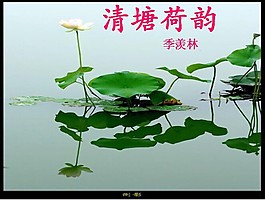 荷塘背景PPT模板