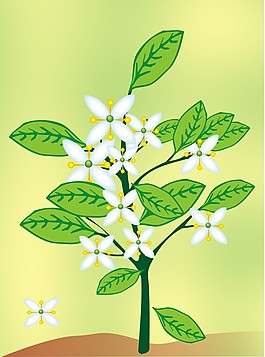 花卉植物畫