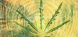 空間穿梭4041 下載