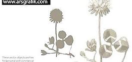 蒲公英花矢量