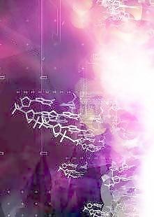 e網(wǎng)情深33 下載
