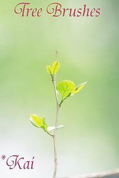绿芽笔刷 下载