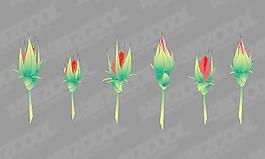 玫瑰花蕾矢量