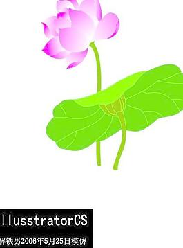 蓮花的CG模擬