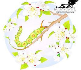 花和昆蟲矢量素材
