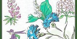 矢量鮮花 下載