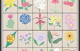 鮮花 下載