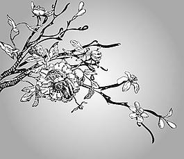 黑白線描木棉矢量素材