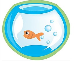 金魚缸