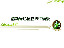 植物PPT