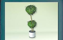 裝飾構(gòu)件之植物3D模型植物031