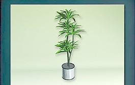 裝飾構(gòu)件之植物3D模型植物028