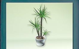 裝飾構(gòu)件之植物3D模型植物004