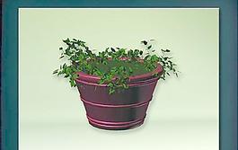 裝飾構(gòu)件之植物3D模型植物001