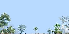 道路行人行道树城市PSD