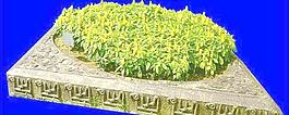 灌木045_效果圖植物配景素材