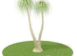 國外植物3D模型1-3
