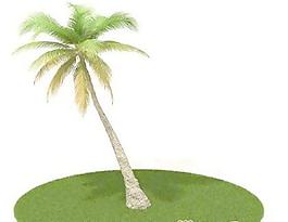 國外植物3D模型1-2