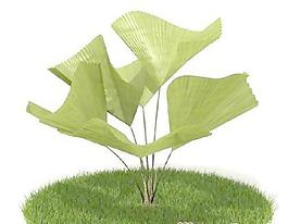 國(guó)外植物3D模型7-4