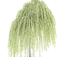 國外精品植物-樹木-灌木3D模型1-5套1
