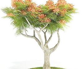 國(guó)外精品植物-樹木-灌木3D模型4-5套2
