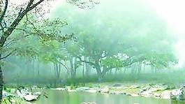 景观环境075－水体(水池)——背景素材