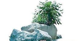 景觀環(huán)境025——背景素材
