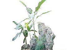 景觀環(huán)境023——背景素材