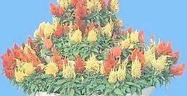 花缽200——小品素材
