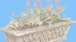 花缽020——小品素材