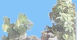 配景山058——小品素材