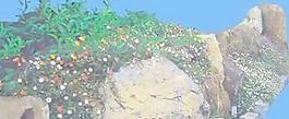 配景山034——小品素材