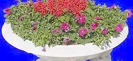 花壇041——植物素材