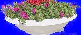 花壇038——植物素材