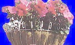 花壇064——植物素材