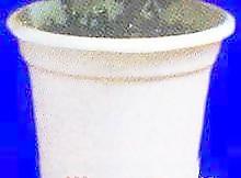 花壇062——植物素材