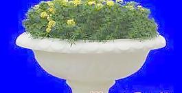花壇046——植物素材