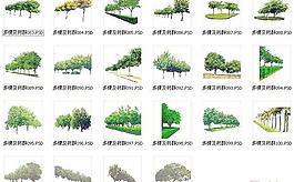 植物psd素材3