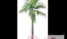 植物素材