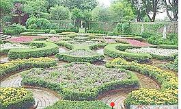 園林設計中大面積地面鋪裝、種植等實景圖片