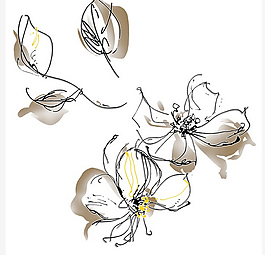 韓國(guó)花紋