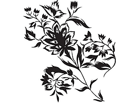 時尚花紋矢量圖庫