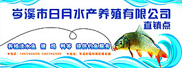水產(chǎn)養(yǎng)殖招牌