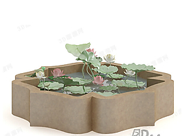 荷花池模型