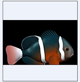 紅色小丑魚模型