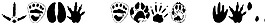 animaltracks