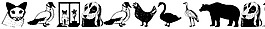 animalsanywhere