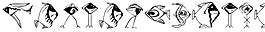 birdsnfishes