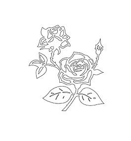 玫瑰花矢量圖